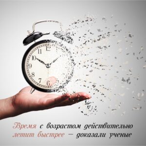 Подробнее о статье Новости